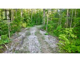 279 Barney's Boulevard, Northern Bruce Peninsula, ON N0H1Z0 Photo 41