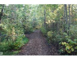 952 9 St, Rural Lac Ste  Anne County, AB T0E1A0 Photo 40