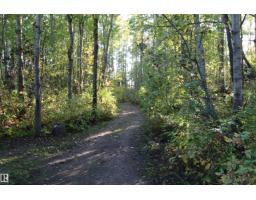 952 9 St, Rural Lac Ste  Anne County, AB T0E1A0 Photo 41