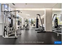 431 - 250 Wellington Street W, Toronto, ON M5V3P6 Photo 21