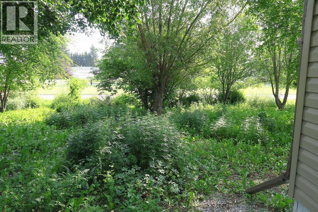 View to Rear lane ang Green Area