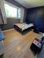 234 Churchill Avenue, Pilot Mound, MB R0G1P0 Photo 13