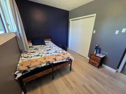234 Churchill Avenue, Pilot Mound, MB R0G1P0 Photo 12