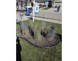 351 Baywater Common Sw, Airdrie, AB T4B0A7 Photo 37