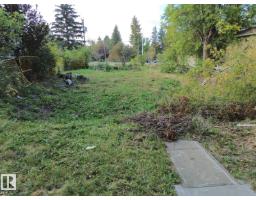 13567 107a Av Nw, Edmonton, AB T5M2A6 Photo 13
