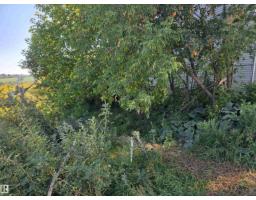 9321 101a Av Nw, Edmonton, AB T5H0C4 Photo 6