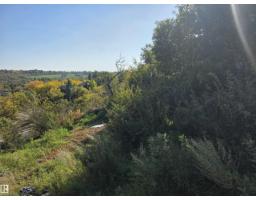 9321 101a Av Nw, Edmonton, AB T5H0C4 Photo 8