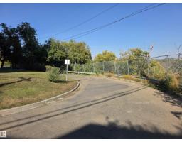 9321 101a Av Nw, Edmonton, AB T5H0C4 Photo 10