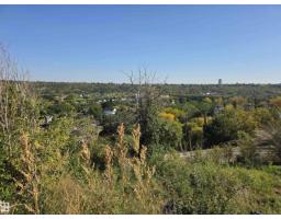 9321 101a Av Nw, Edmonton, AB T5H0C4 Photo 7