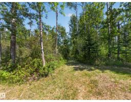 22048 Twp Road 522, Rural Strathcona County, AB T8E1G2 Photo 56