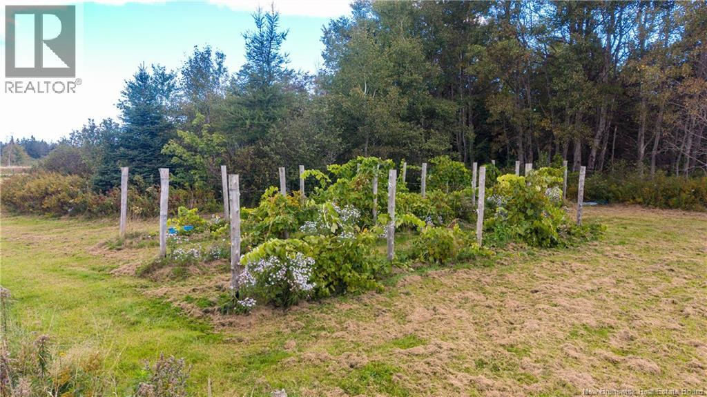 394 Collins Lake Road - Image 42