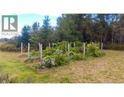 394 Collins Lake Road, Shemogue, NB E4N2N1 Photo 42