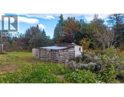 Kitchen - 394 Collins Lake Road, Shemogue, NB E4N2N1 Photo 9