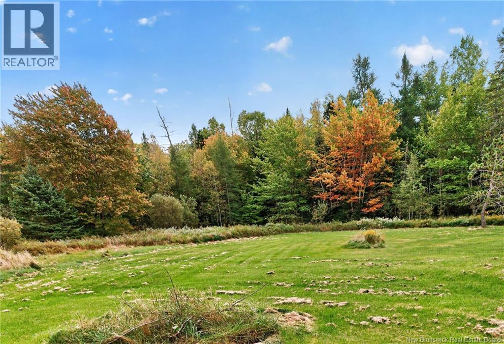 14 Salisbury Back Road - 24