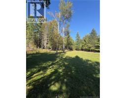 750 Back Road, Lyttleton, NB E9E1X5 Photo 17