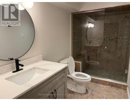 Basement - 83 Aloe Avenue, Richmond Hill, ON L4E4N1 Photo 20