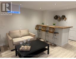 Basement - 83 Aloe Avenue, Richmond Hill, ON L4E4N1 Photo 6