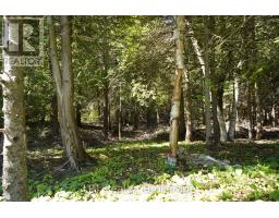 317 Isthmus Bay Road, Northern Bruce Peninsula, ON N0H1W0 Photo 28