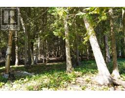 317 Isthmus Bay Road, Northern Bruce Peninsula, ON N0H1W0 Photo 29