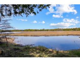 28 Stewarts Point, Northern Bruce Peninsula, ON N0H1W0 Photo 31