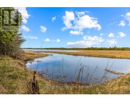 28 Stewarts Point, Northern Bruce Peninsula, ON N0H1W0 Photo 32