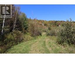 1703 Route 121, Norton, NB E5T1P1 Photo 12