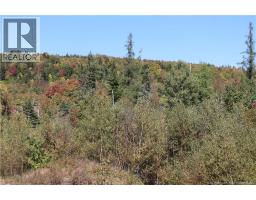 1703 Route 121, Norton, NB E5T1P1 Photo 13