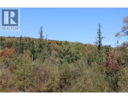 1703 Route 121, Norton, NB E5T1P1 Photo 14