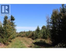 1703 Route 121, Norton, NB E5T1P1 Photo 20