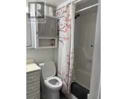 249 John St, Sault Ste  Marie, ON P6A1P4 Photo 15