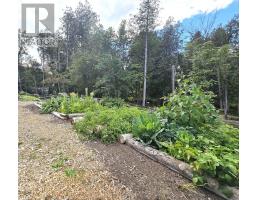 8567 Old Hastings Road, Tudor & Cashel, ON K0K1Y0 Photo 41