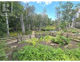 8567 Old Hastings Road, Tudor & Cashel, ON K0K1Y0 Photo 42