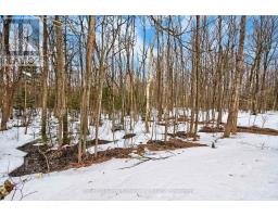 29 Nida Drive, Tiny, ON L9M0B3 Photo 39