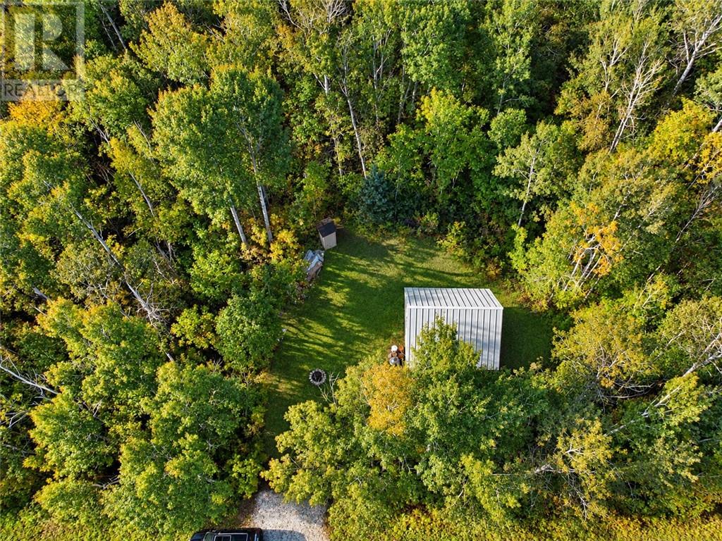 Lot 16 South Bay Drive, Assiginack, Manitoulin Island — photo 9