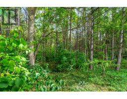 142 Milne Place, Guelph/eramosa, ON N0B2K0 Photo 35