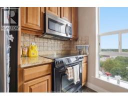 1225 Riverside Drive Unit# 801, Windsor, ON N9A0A2 Photo 10