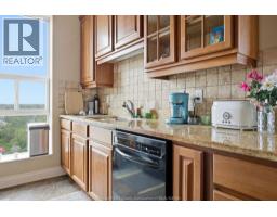 1225 Riverside Drive Unit# 801, Windsor, ON N9A0A2 Photo 11