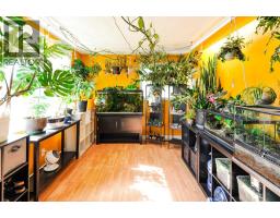 Laundry room - 5420 50 Avenue, Camrose, AB T4V0T4 Photo 10
