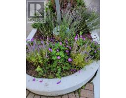 #215 - 5 Massey Square, Toronto, ON M4C5L6 Photo 43