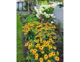 #215 - 5 Massey Square, Toronto, ON M4C5L6 Photo 45