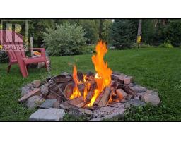 97 Cedarplank Road, Kawartha Lakes, ON K0M1N0 Photo 43