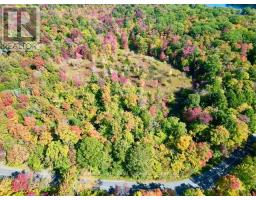 0 Acton Island Road, Muskoka Lakes, ON P0B1J0 Photo 6