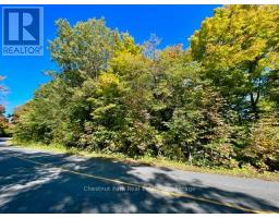 0 Acton Island Road, Muskoka Lakes, ON P0B1J0 Photo 10
