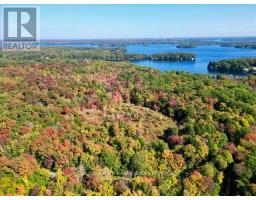 0 Acton Island Road, Muskoka Lakes, ON P0B1J0 Photo 7