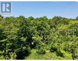 0 Acton Island Road, Muskoka Lakes, ON P0B1J0 Photo 14
