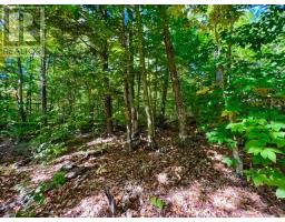 0 Acton Island Road, Muskoka Lakes, ON P0B1J0 Photo 8