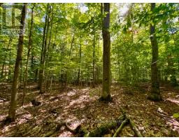 0 Acton Island Road, Muskoka Lakes, ON P0B1J0 Photo 9