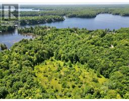 0 Acton Island Road, Muskoka Lakes, ON P0B1J0 Photo 12
