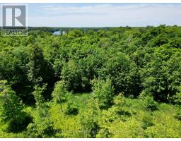 0 Acton Island Road, Muskoka Lakes, ON P0B1J0 Photo 13
