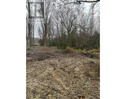 Lot 9 Concession 11 Concession S, Meaford, ON N4K1W1 Photo 10